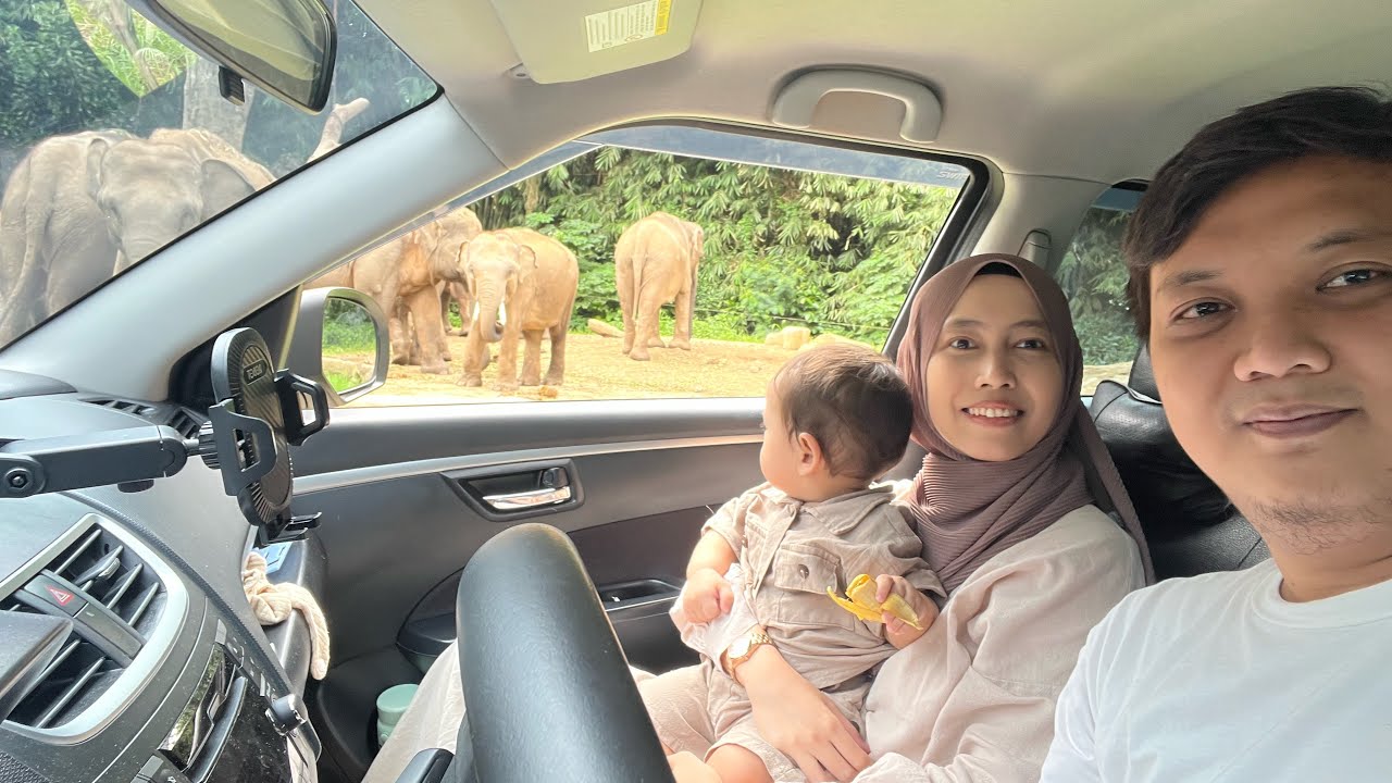 Taman Safari Indonesia - Day 1 (1/2) Safari Journey! 🦁🐻🐯🐵