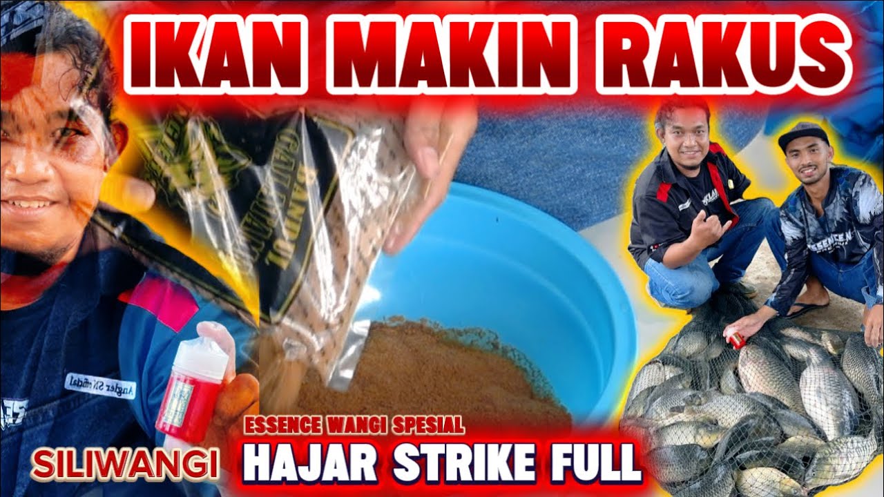 IKAN MAKIN RAKUS sampai umpan habis, Event mobilan ticket 8 juta All-in mancing super strike bahagia