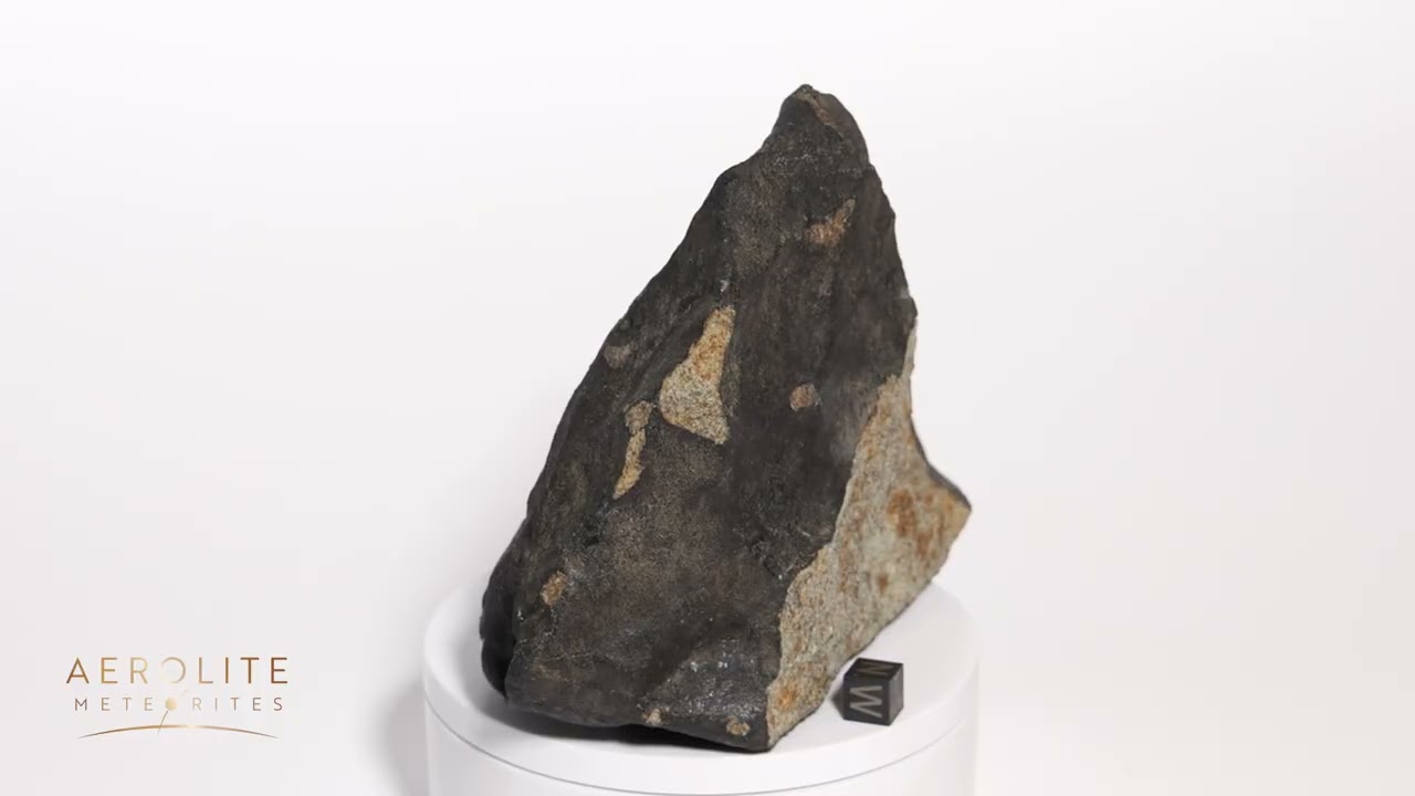 Amo Meteorite 1,931grams - Fell to Earth December 10, 2024