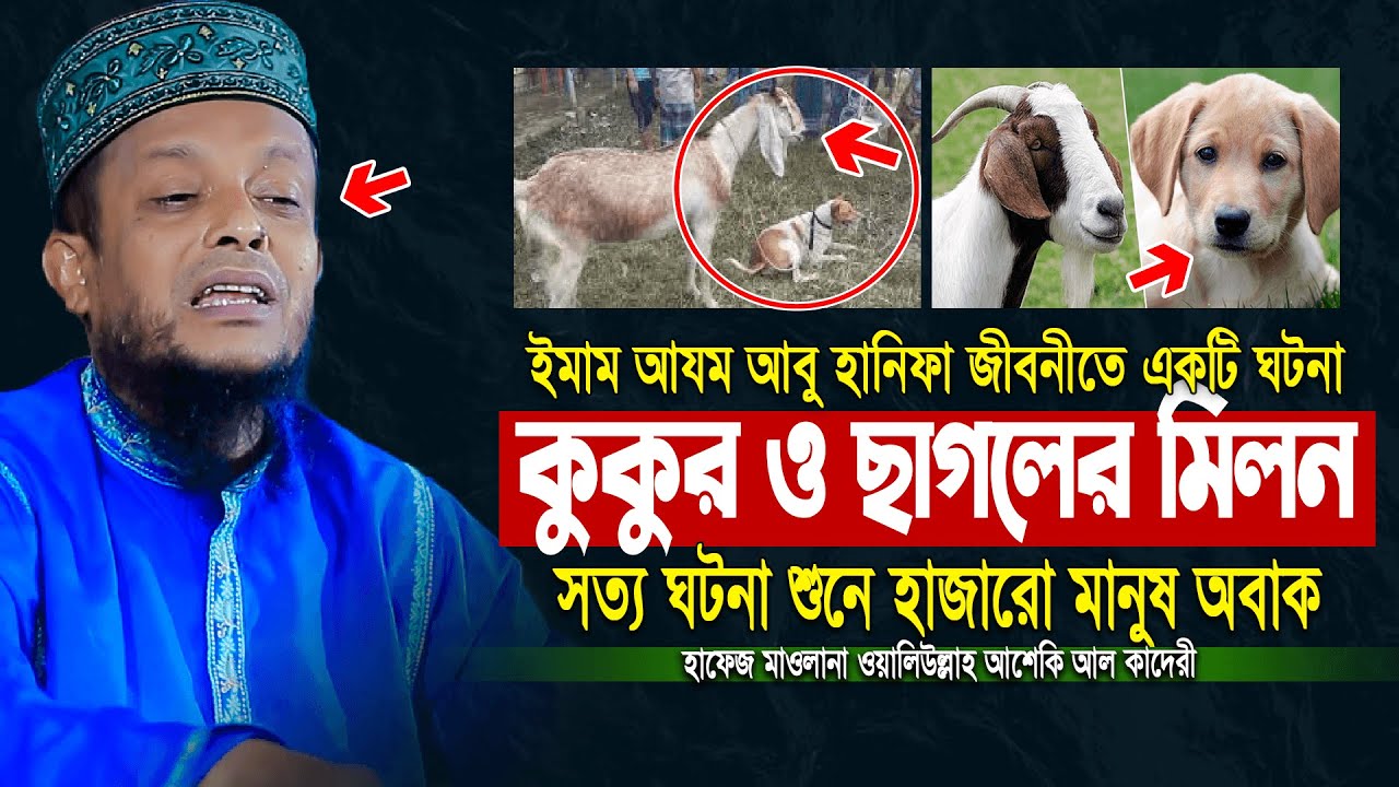 ইমাম আযম আবু হানিফা জীবনীতে একটি ঘটনা কুকুর ও ছাগলের মিলন সত্য ঘটনা শুনে হাজারো মানুষ অবাক | new waz
