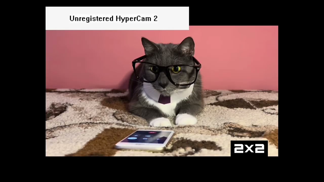 Инцидент на канале 2x2 ненормальный сотрудник