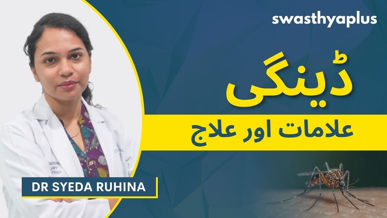 ڈینگی: علامات اور علاج  | Dengue: How to Treat? in Urdu | Dr Syeda Ruhina