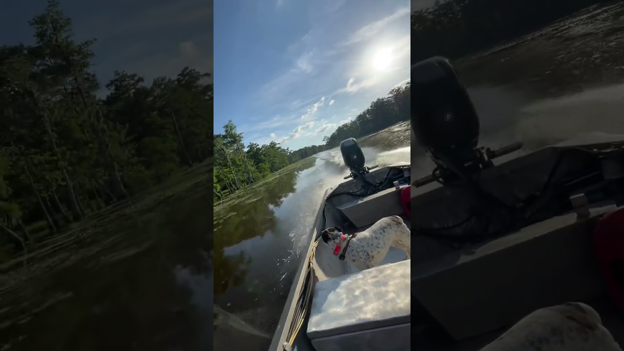 @CollinAucoin  what you think abt this one 🗣️ #fishing #campping #campping #fishingcamp #camplife