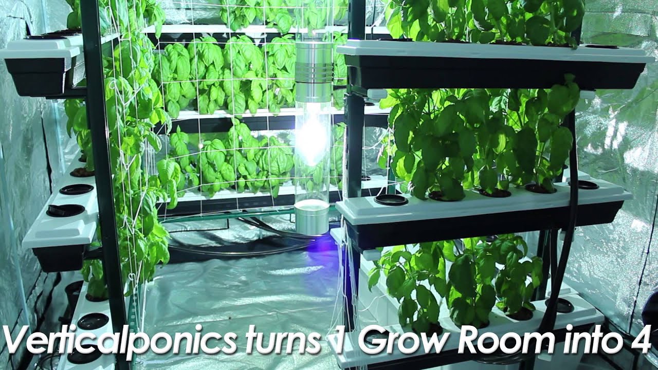 Vertical Grow System Big Buddha Box Indoor Grow Room