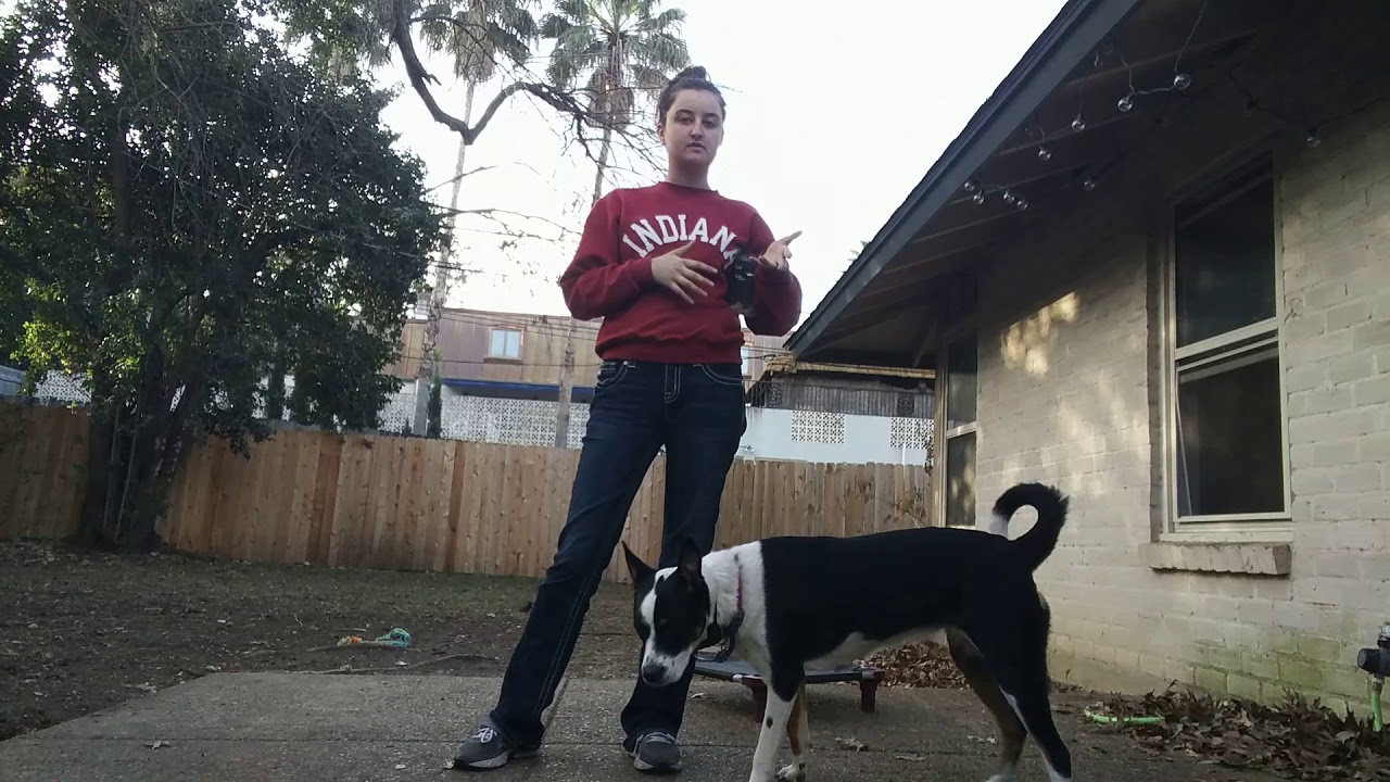 Operant Conditioning: Variable Ratio, Fixed Interval, Variable Interval