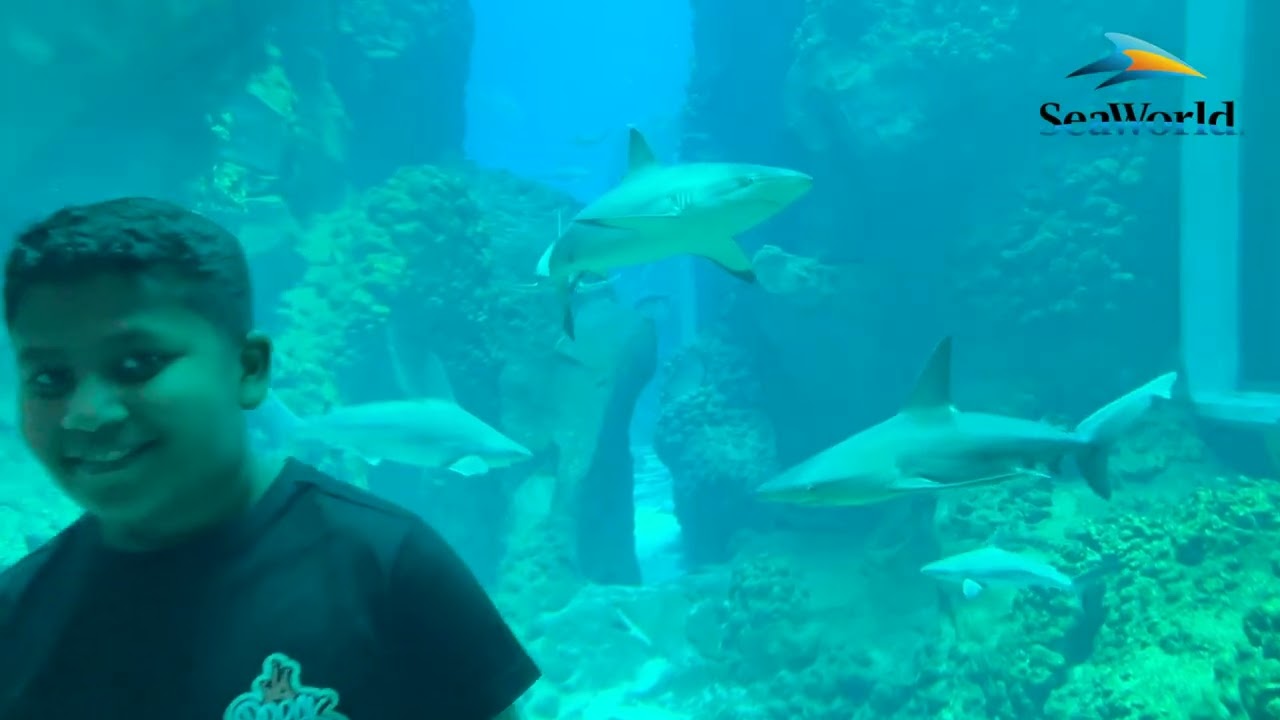 #seaworldabudhabi  #ياس #جزيرة_ياس #الاسماك #سمك #قرش#مرح#الاطفال