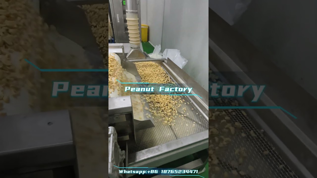 Chinese food factory,peanuts export to Europe.