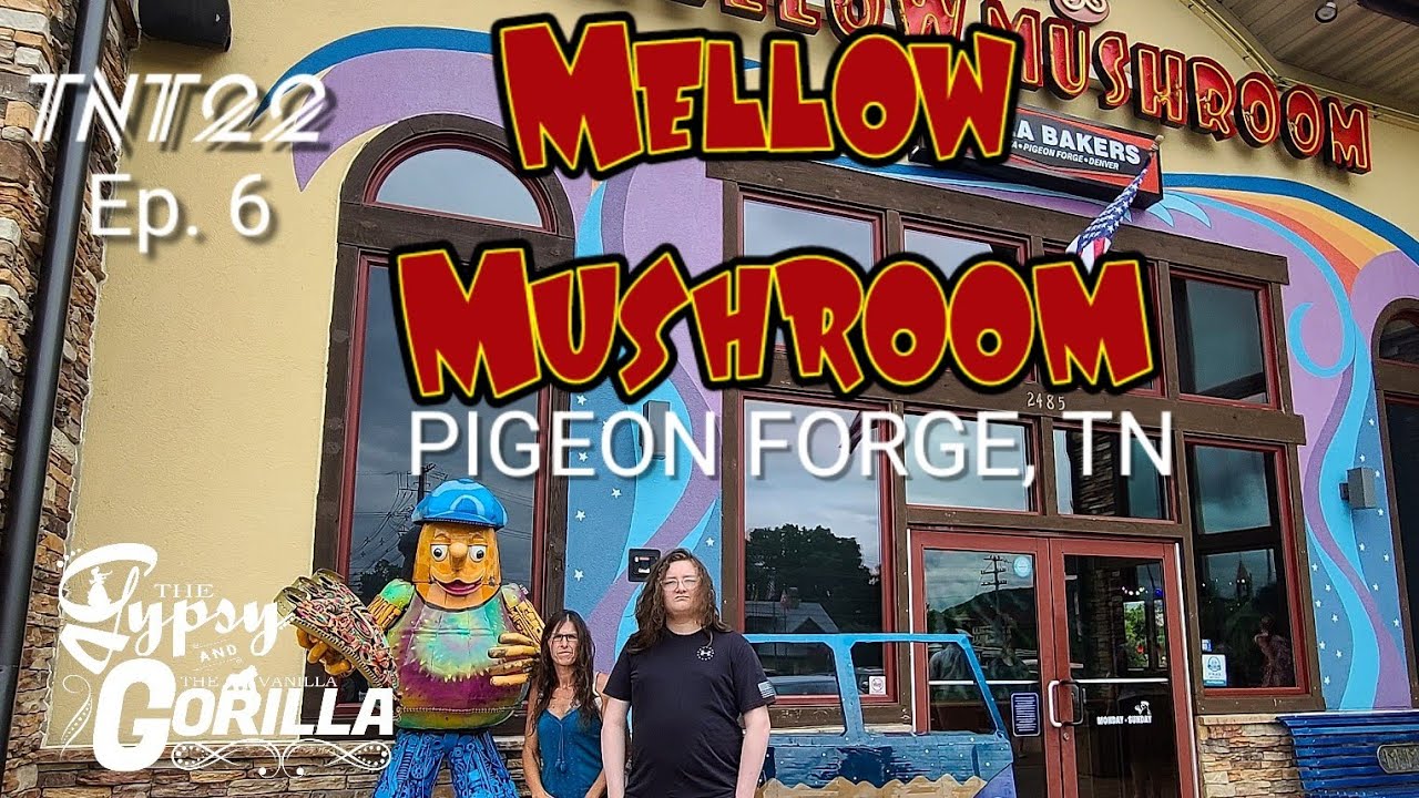 Pigeon Forge 2022 a Quick drive around | Mellow Mushroom | 🍄 | TNT22 ep. 6