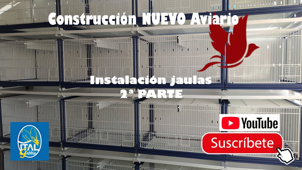 Construcción NUEVO Aviario - Instalación jaulas 2º PARTE