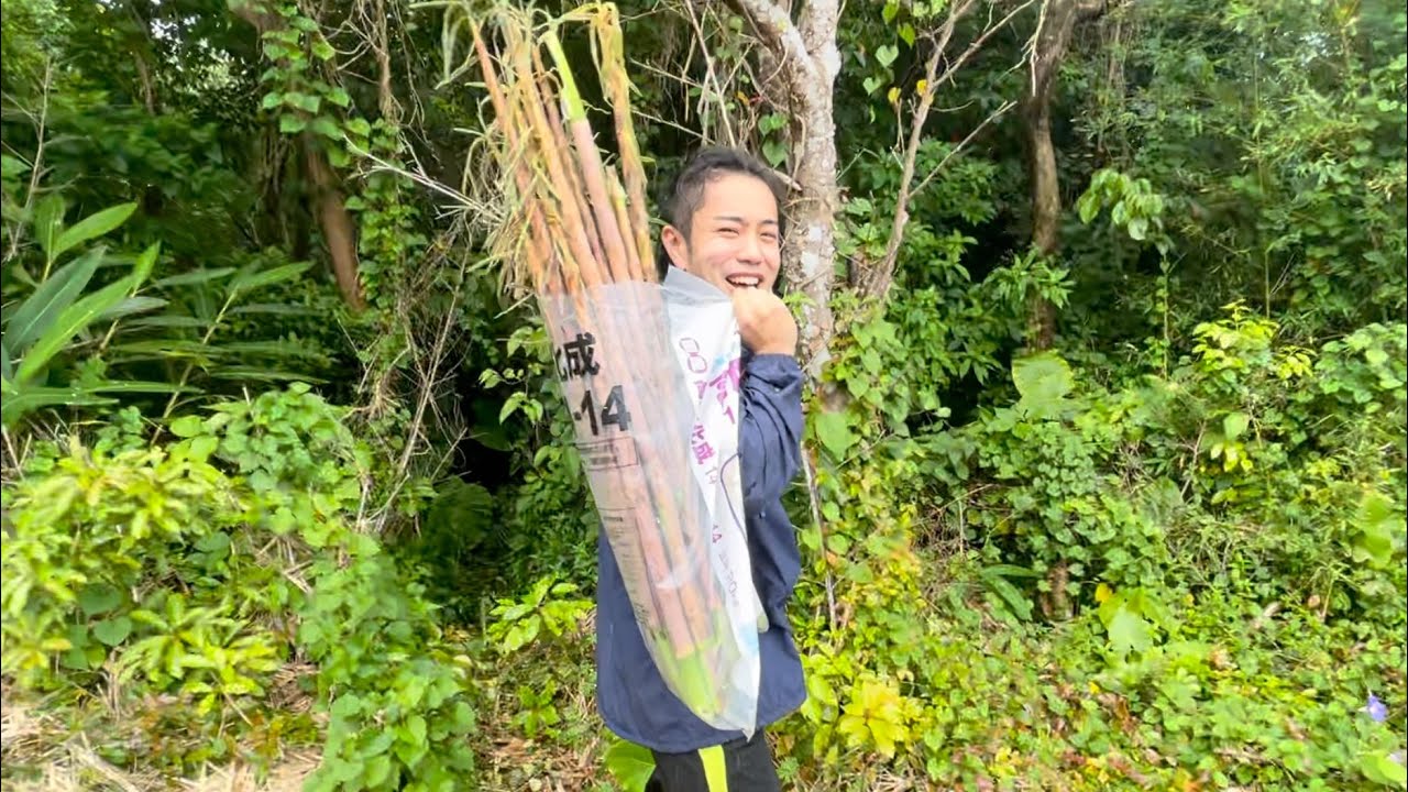 野山でタケノコを採って『炭火焼き』で食べる至高の時間