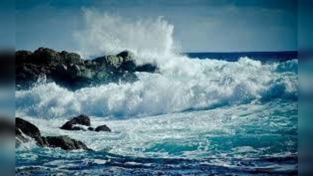 حكم التلفظ بالنية و توضيح ما نُسب للإمام الشافعي رحمه الله تعالى .