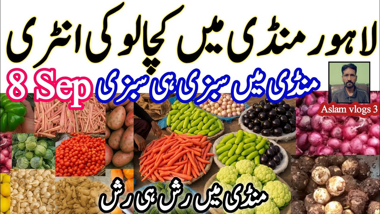 Lahore Sabzi Mandi rates today Sep8,2025|today v kota vegetables market rate|#sabzi #viralvideo🌰🥔🍅🥕