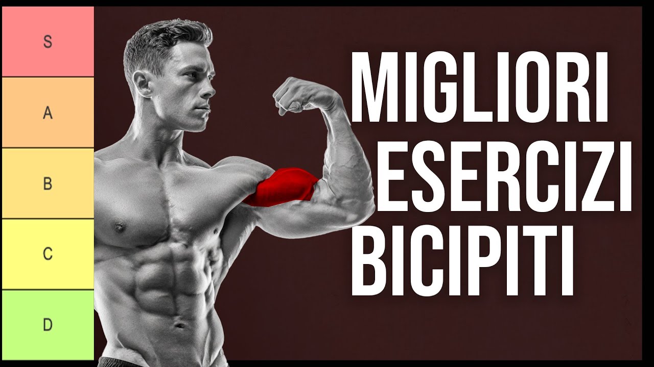 Tier List Esercizi Bicipiti: Dal Migliore al Peggiore