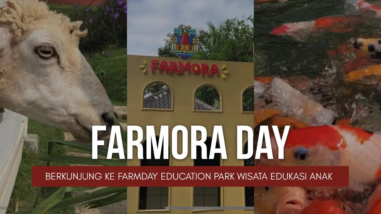 Wisata Edukasi Hewan dan Tanaman, Farmora Education Park Lampung   Animal and Plant Educational Tour