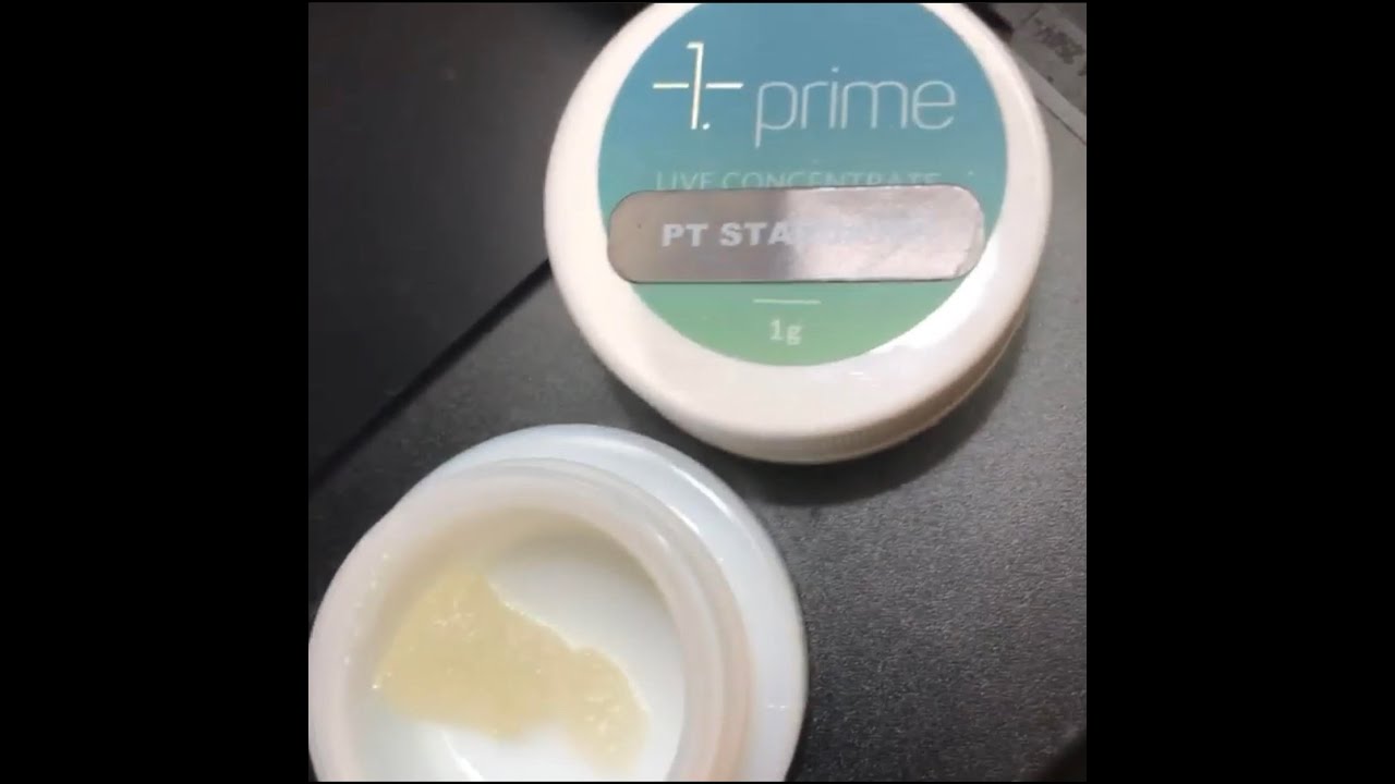 Prime Wellness - PT Stardawg Live Resin -Pines Trees Reviews 4k