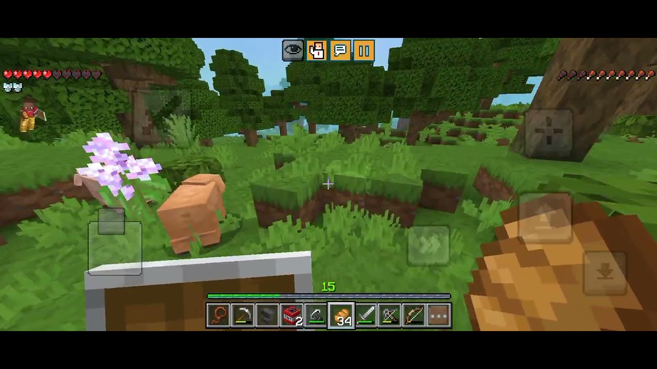 #minecrft 