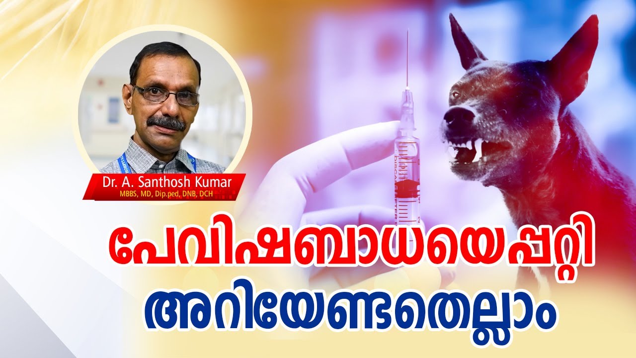 Rabies: Symptoms, Treatment & Prevention |  പേ വിഷബാധയെപ്പറ്റി അറിയേണ്ടതെല്ലാം | Rabies Malayalam