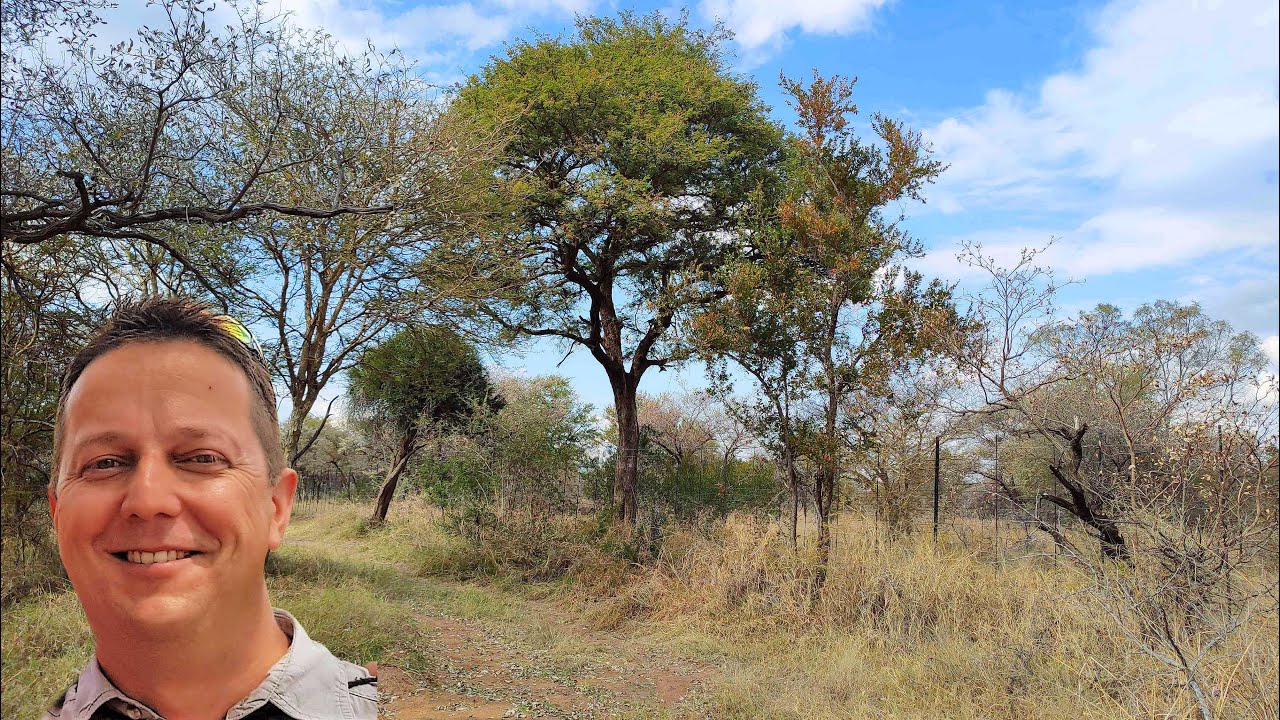 437 Hectares Undeveloped Game Farm Thabazimbi (Koedoeskop)