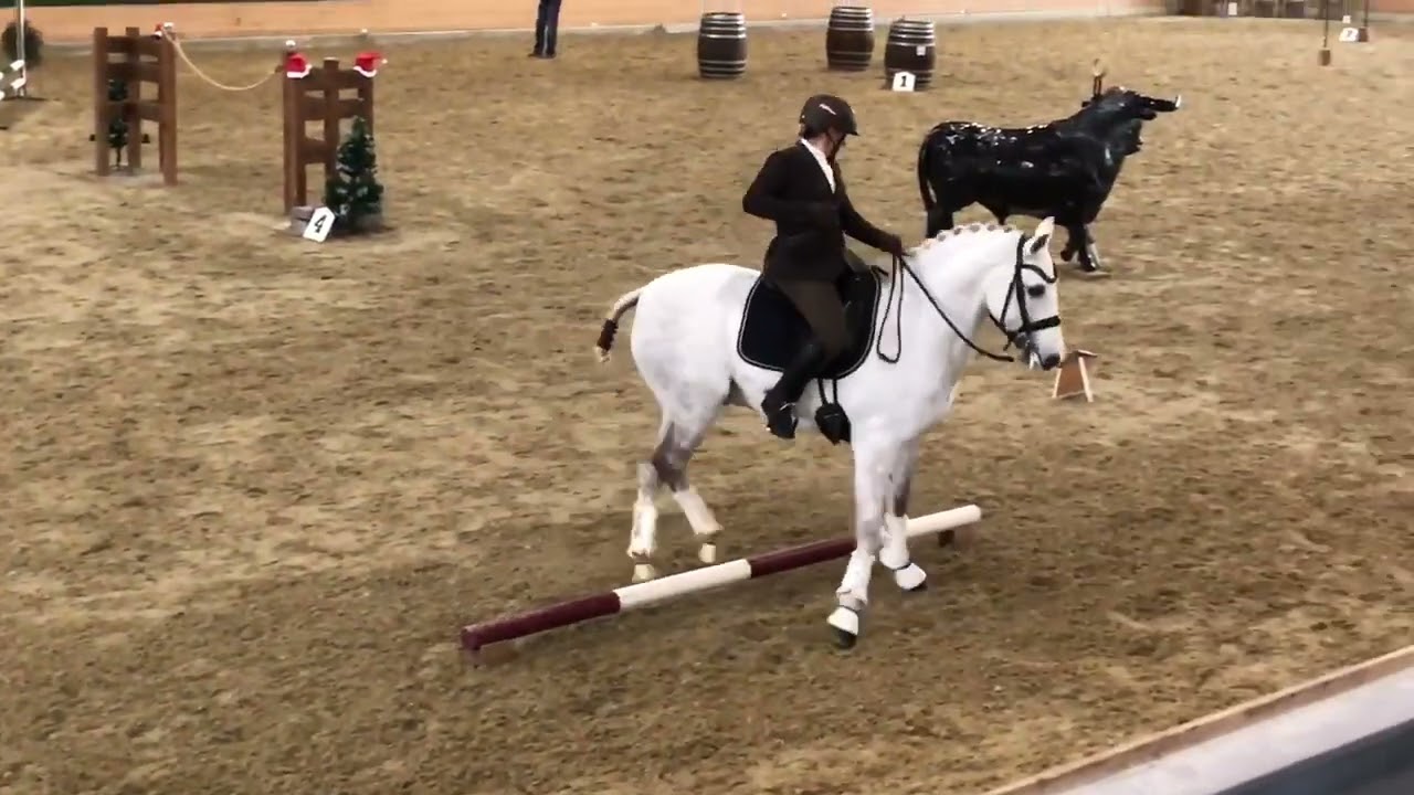 Working Equitation Speedtrail Masters 2022, Martina Weteschnik and Bogalho