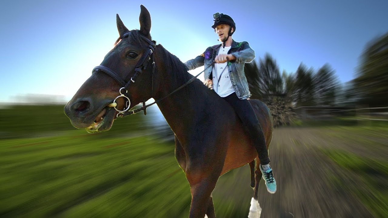 2 MINUTE TUTORIAL - RIDING A HORSE