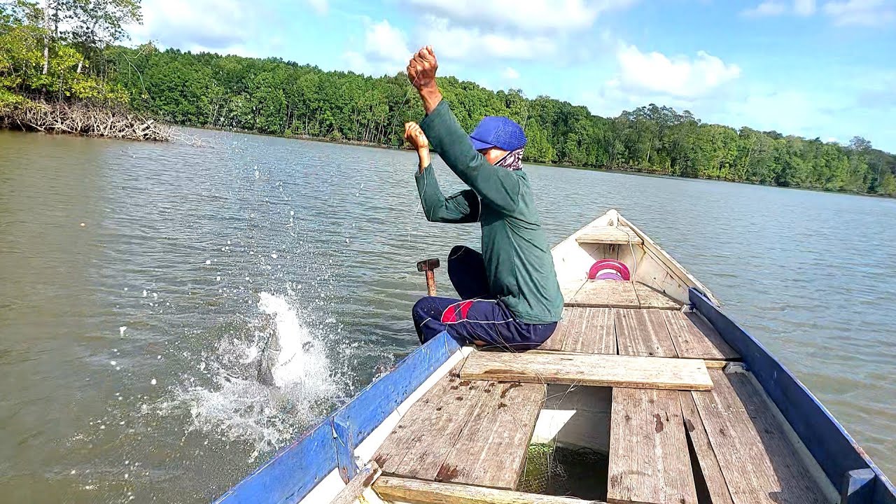 PANCING KULUP MENDAPATKAN SAMBARAN BRUTAL BERKALI KALI IKAN IKAN BABON MUARA...!!