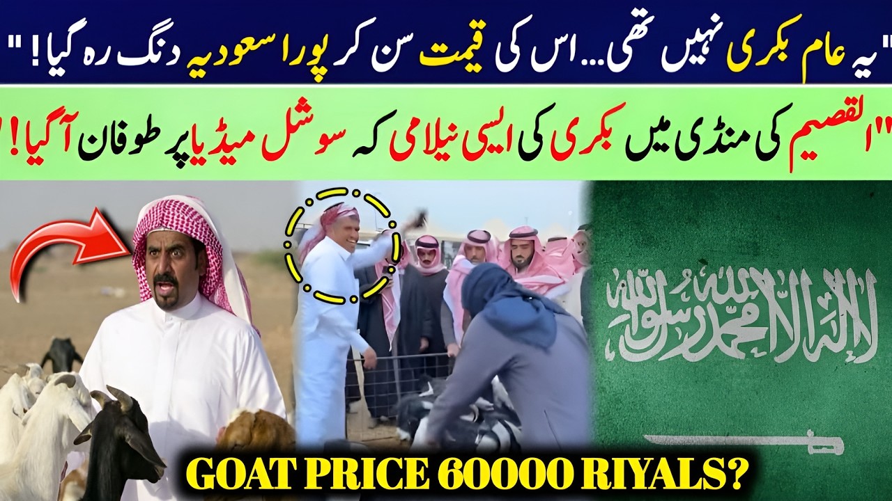 Unbelievable Goat Sold for 60,000 Riyals in Saudi Arabia | AL Qassim Market Shocks Social Media