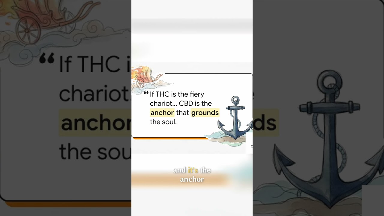 CBD's Secret: The 'Archangel' Explained! 