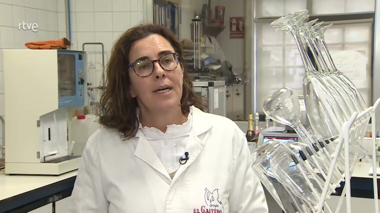 Los trabajadores de El Gaitero en el programa 'Aquí hay trabajo', de RTVE