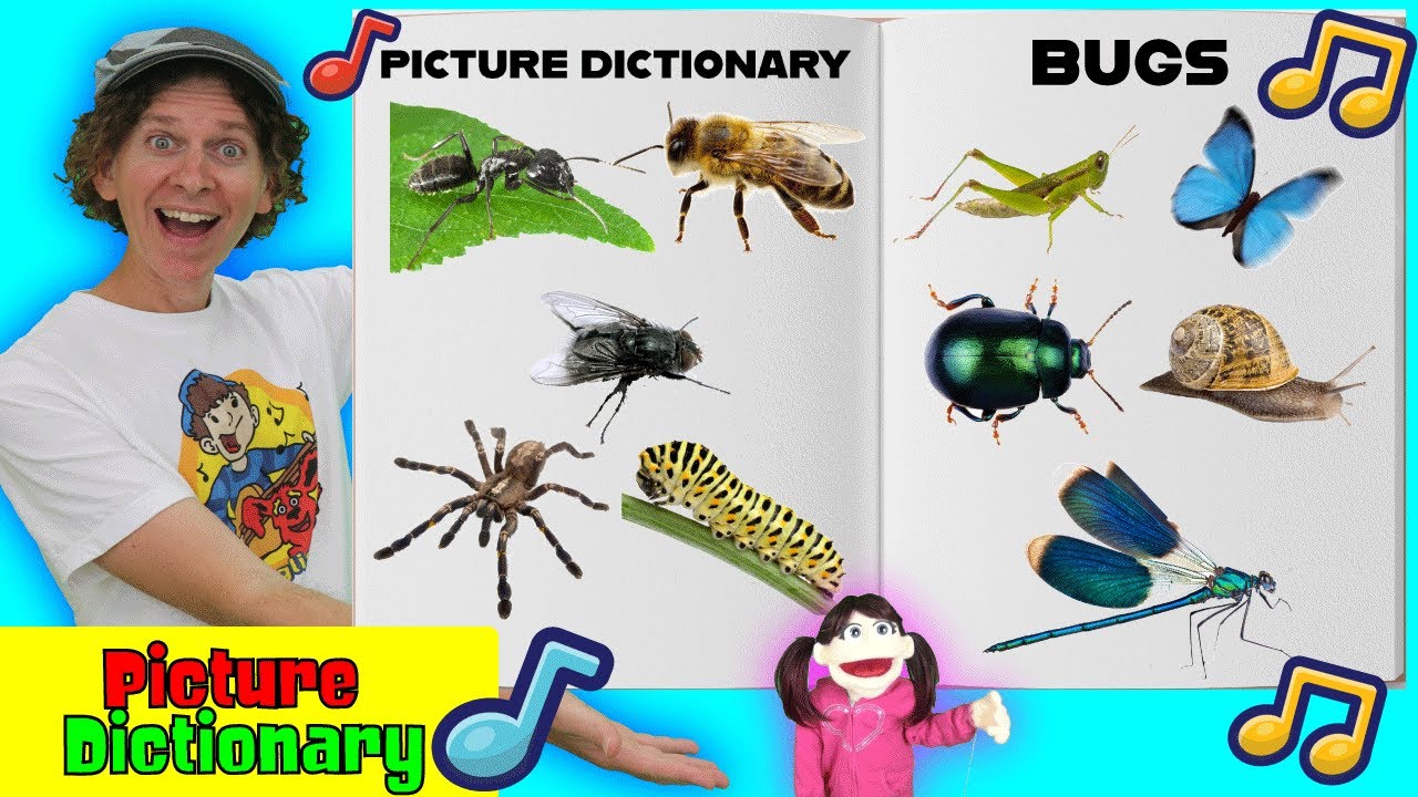 Bugs | Picture Dictionary Song | Dream English Kids