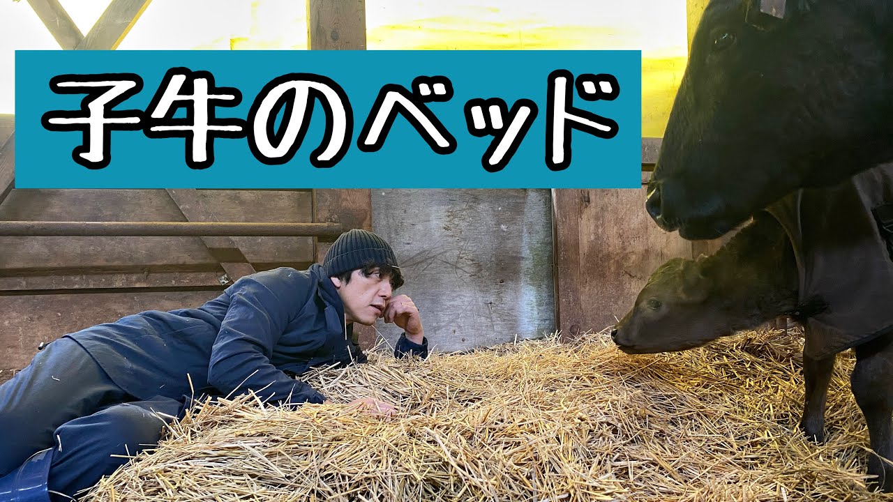 子牛のベッドを作りました
