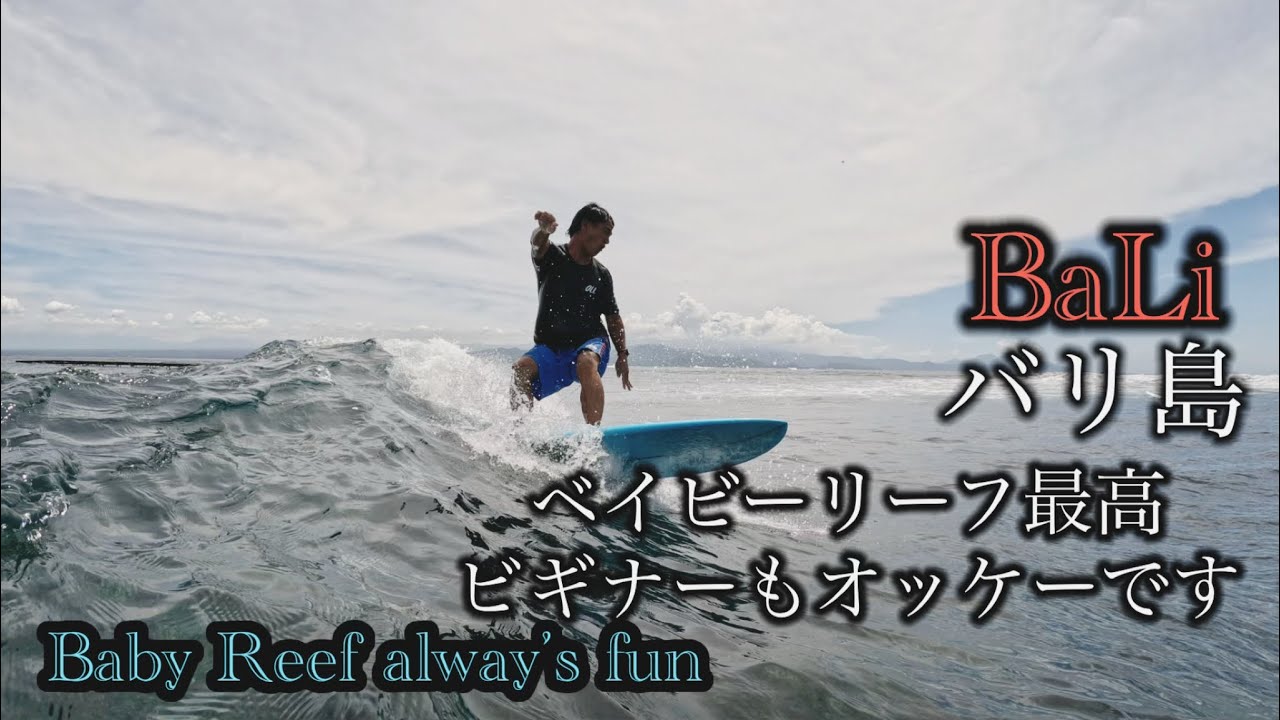 ベイビーリーフ最高、ビギナーでもオッケー　Baby Reef Always Fun for Beginner too バリ島最高