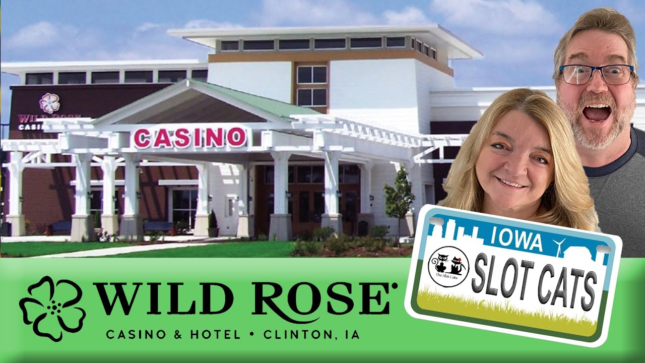 Wild Rose Clinton