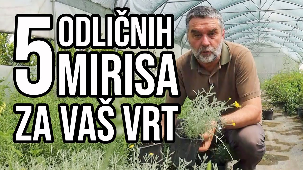5 odličnih mirisa za vaš vrt
