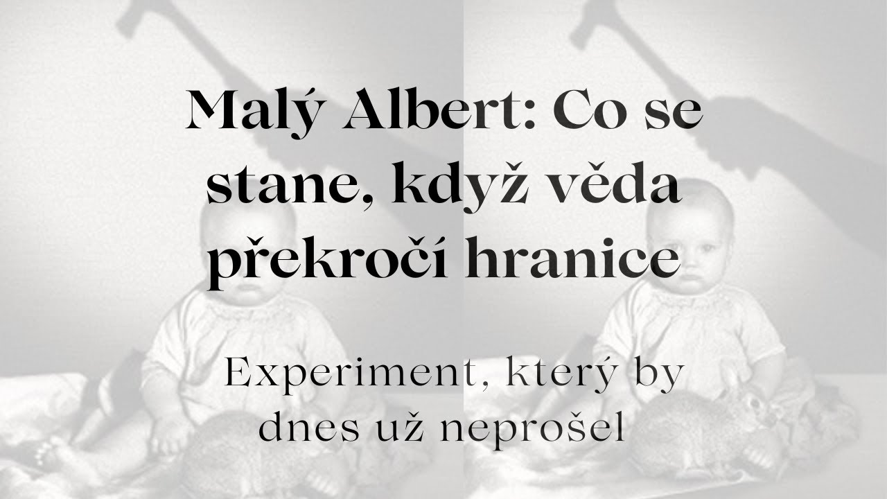 Experiment, kter&yacute; vyděsil svět psychologie &ndash; Mal&yacute; Albert (1920)