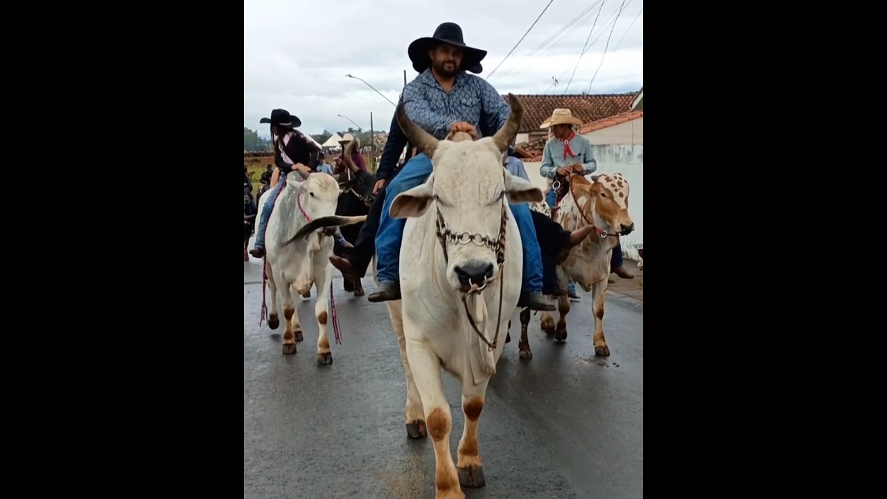 Caqvalgada de domadores de boi de sela na cidade