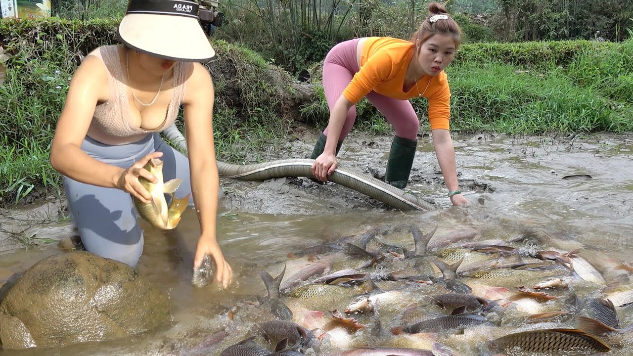 Young Girl's Fishing on Rivers and Lakes, Drain Water from the Pond and Catch a Lots of Fish