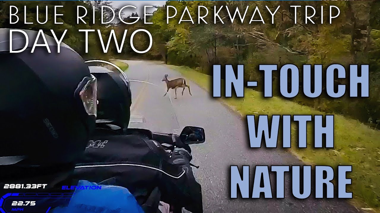 Blue Ridge Parkway Trip - DAY TWO - IN-TOUCH with Nature!