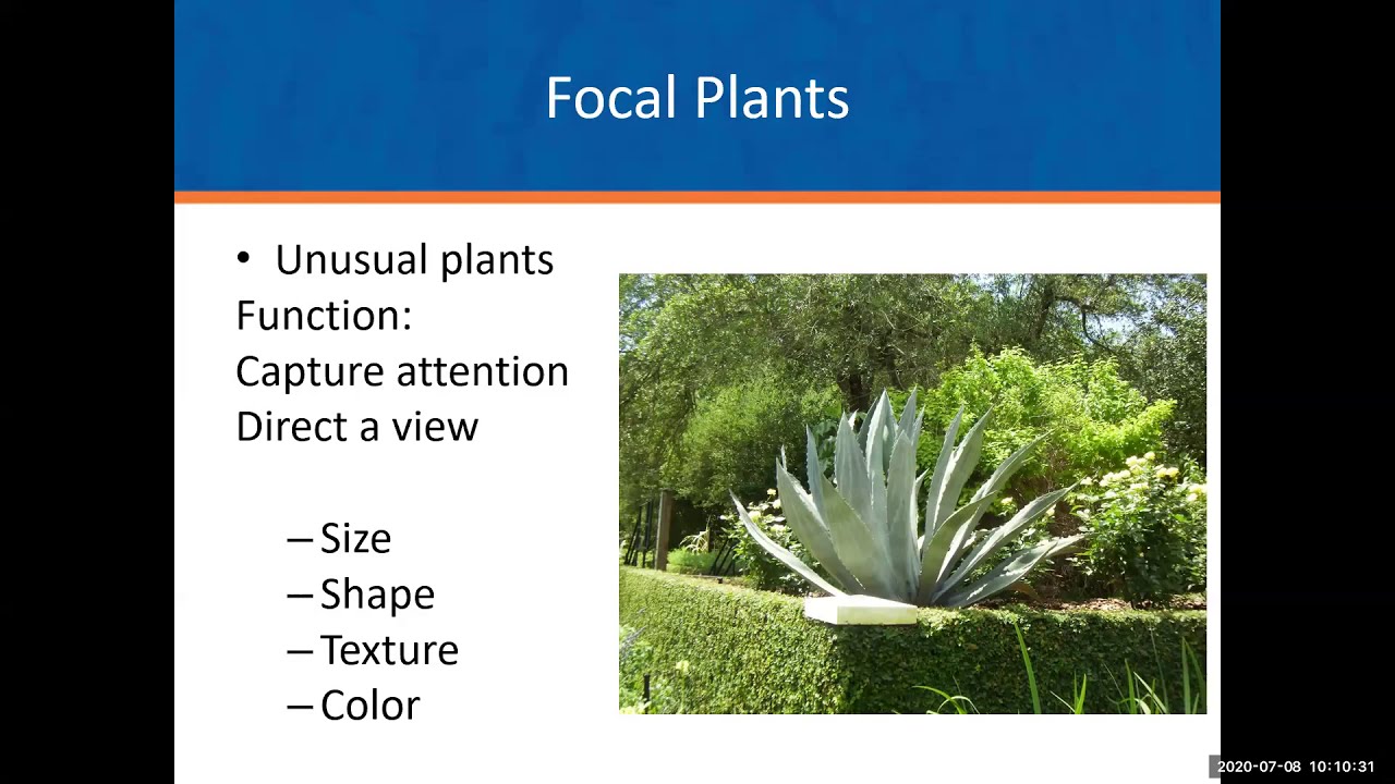 Landscape Design Series: Design Principles