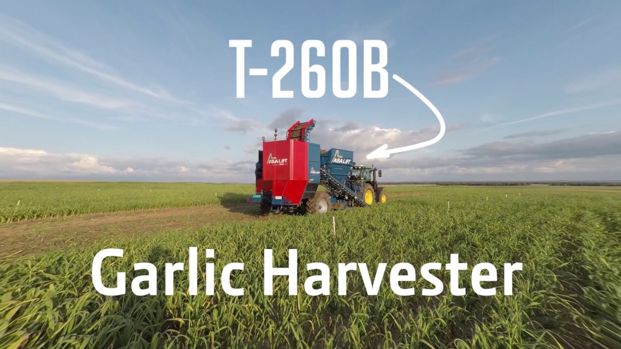 ASA-LIFT Garlic harvester