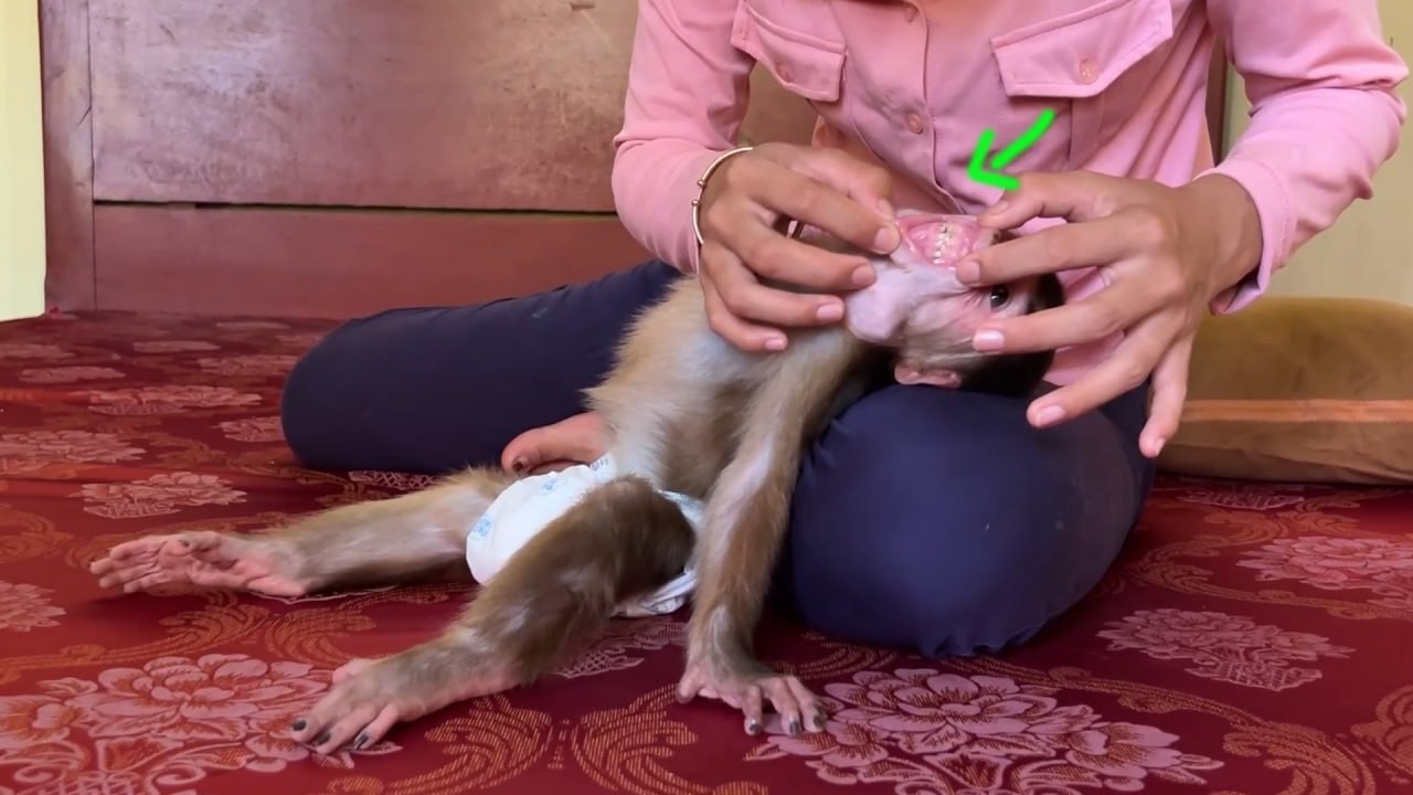 Genius Mom Open Mouth John Just To See His Teeth Got Blacker