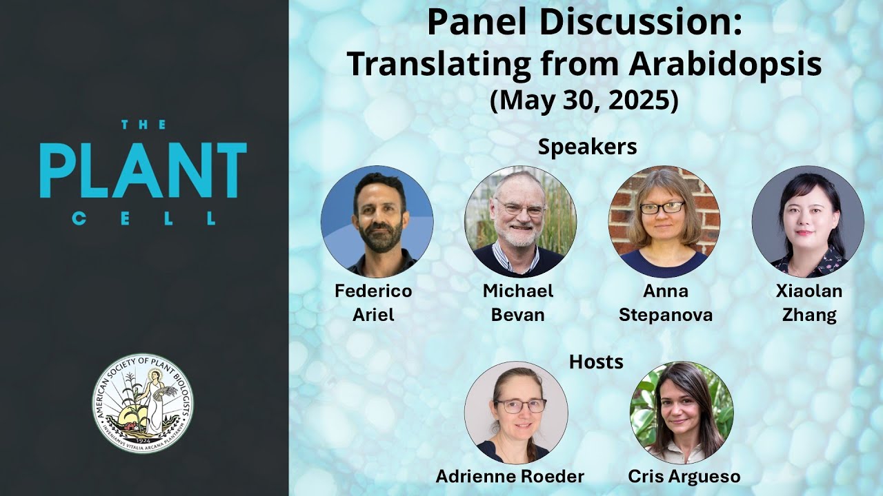 Plant Cell webinar: Translating research from Arabidopsis to crop plants and beyond