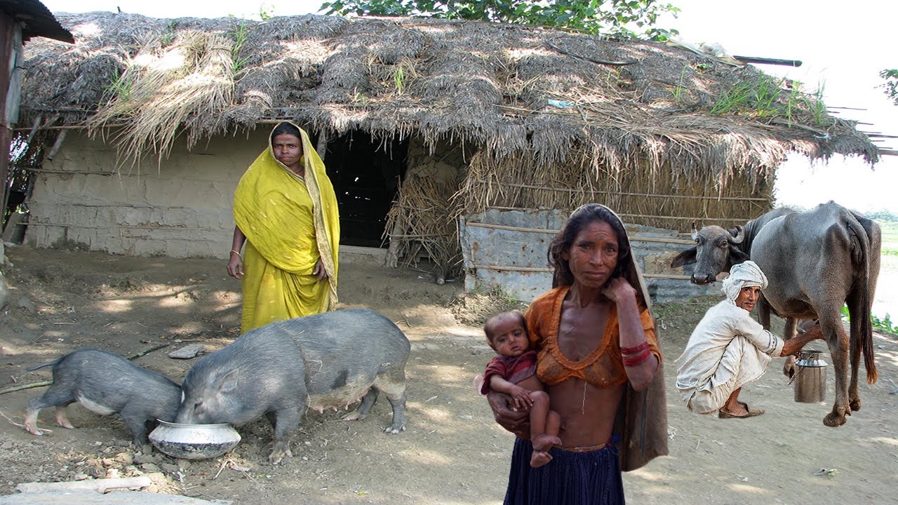 How Do Poor Villagers Spend Their Lives In Nepal's Terai Region  || Life In The Countryside Nepal