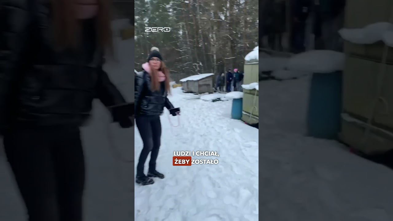 LUDZIE WTARGNĘLI DO SCHRONISKA I ZABRALI PSY