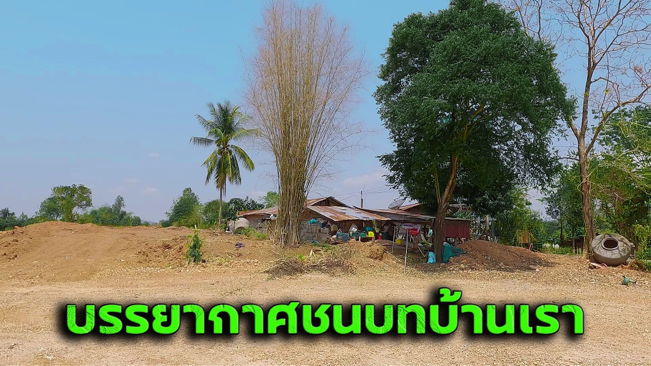 บรรยากาศของชนบทบ้านเรา