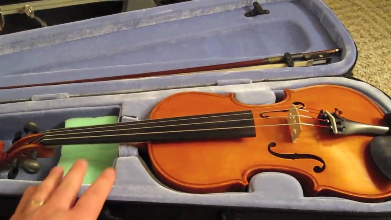 Gliga 14
