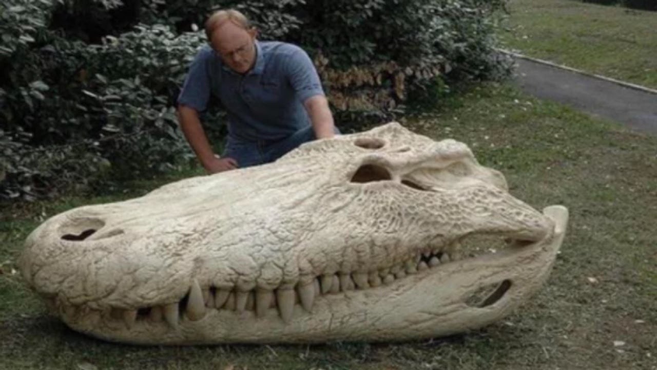 Гигантский Кайман, Кусавший Сильнее, Чем Тираннозавр &mdash; Пурусзавр