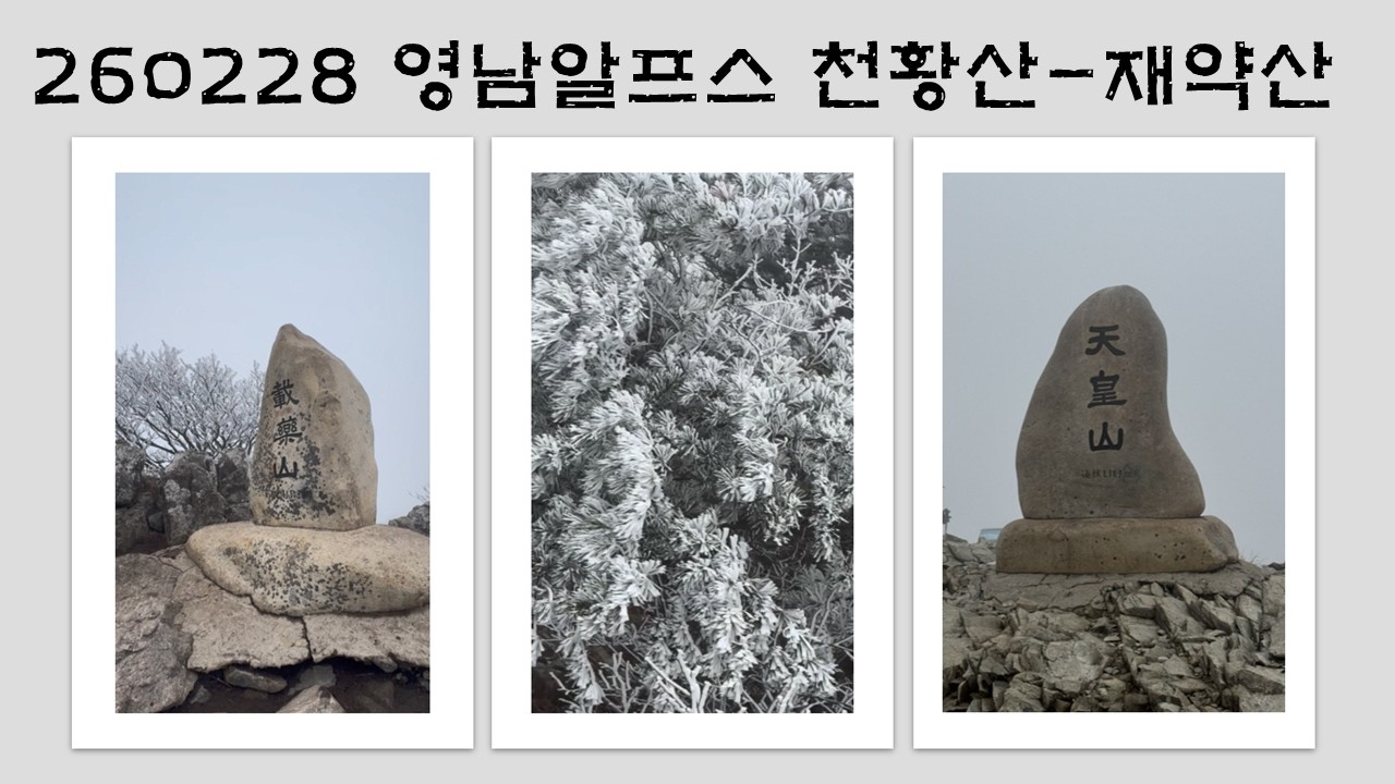 260228 영남알프스 천황산 재약산
