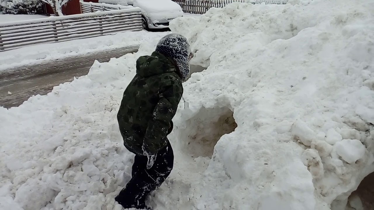 Sn&ouml;koja