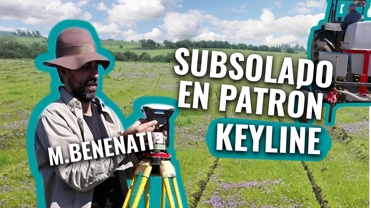 Martin Benenati - Subsolado en patrón Keyline