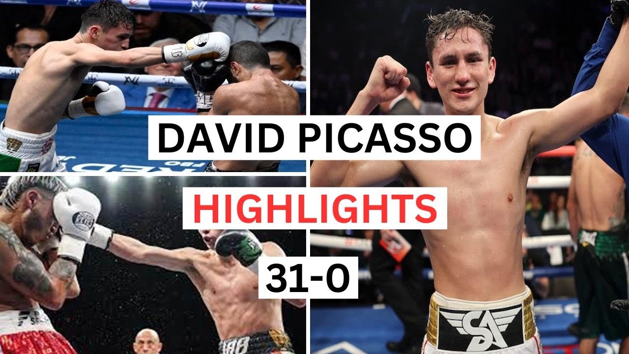 David Picasso (31-0) Highlights & Knockouts